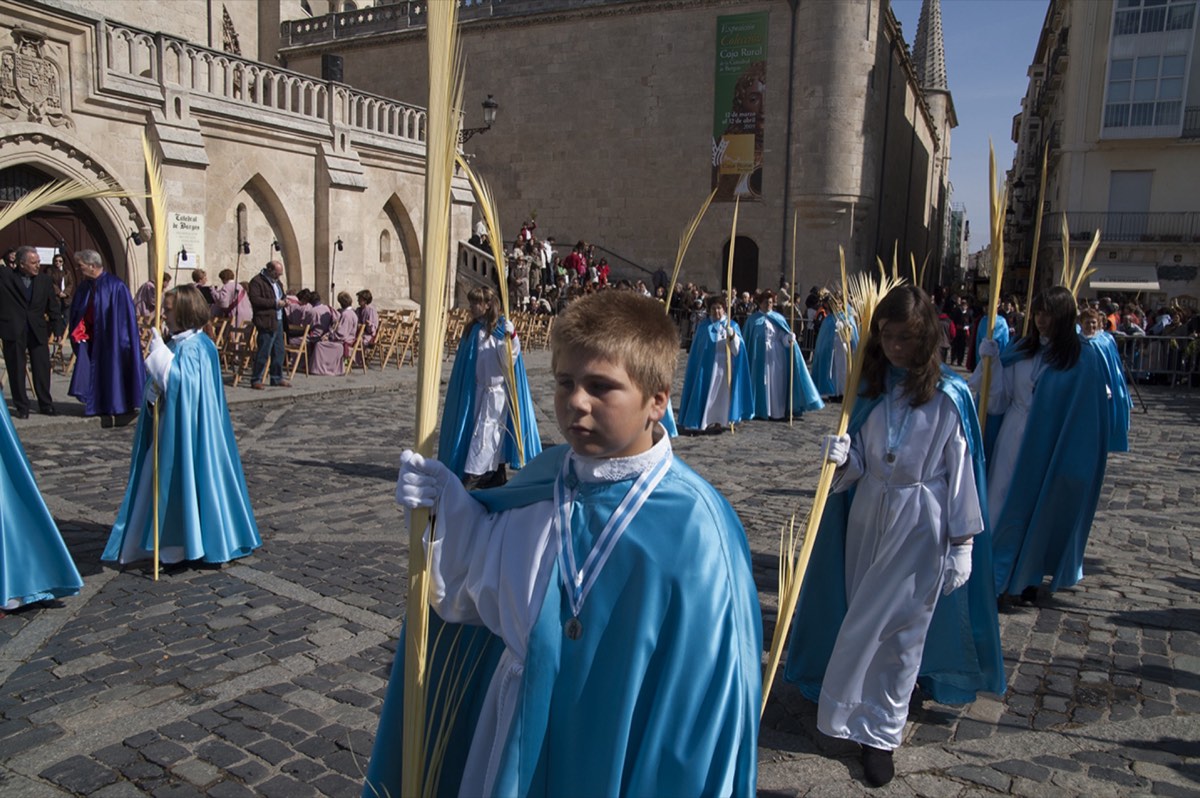 Niños con túnicas celestes portando palmas en la procesión del Domingo de Ramos por las calles de Burgos