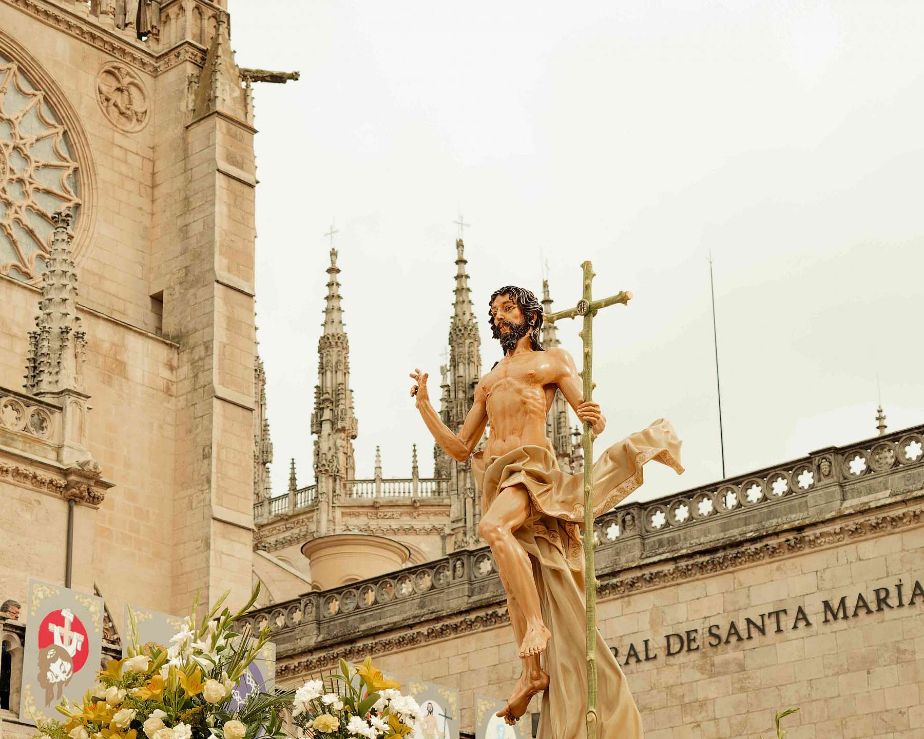 Imagen 7