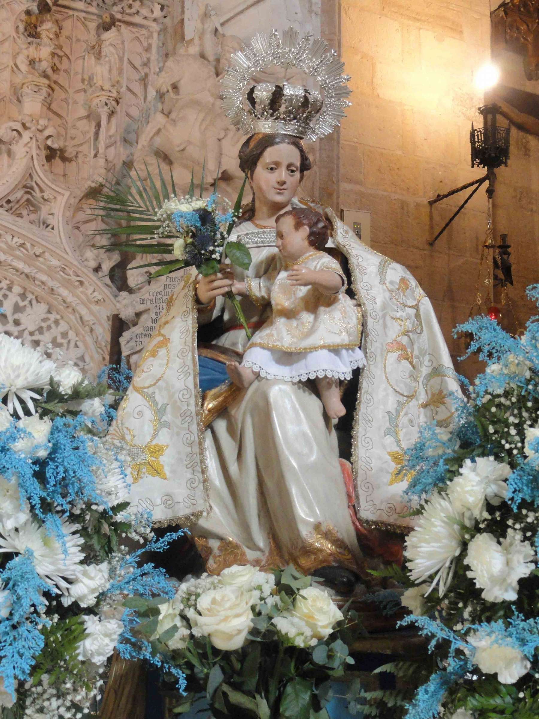 Imagen 5