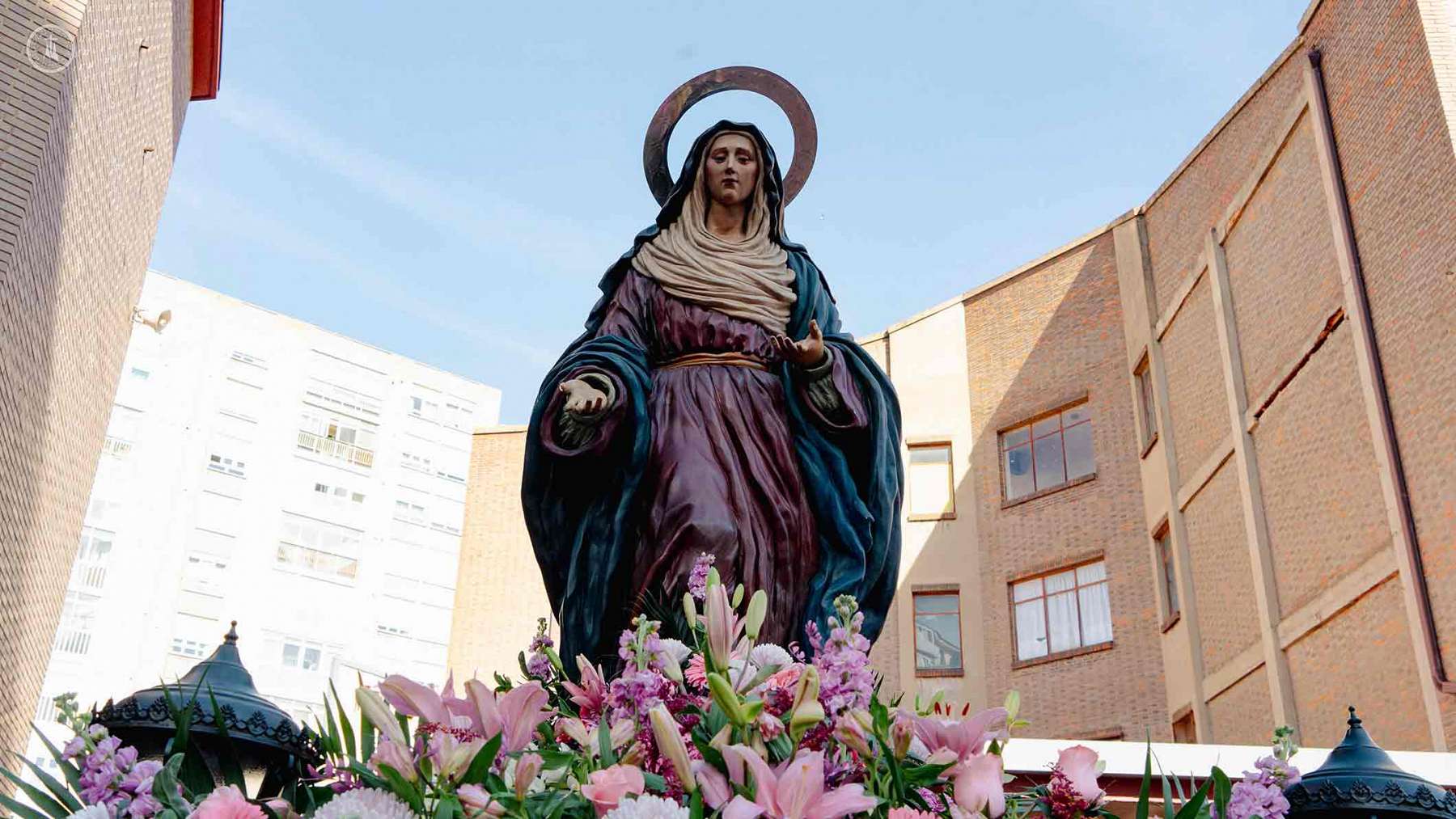 Imagen 6