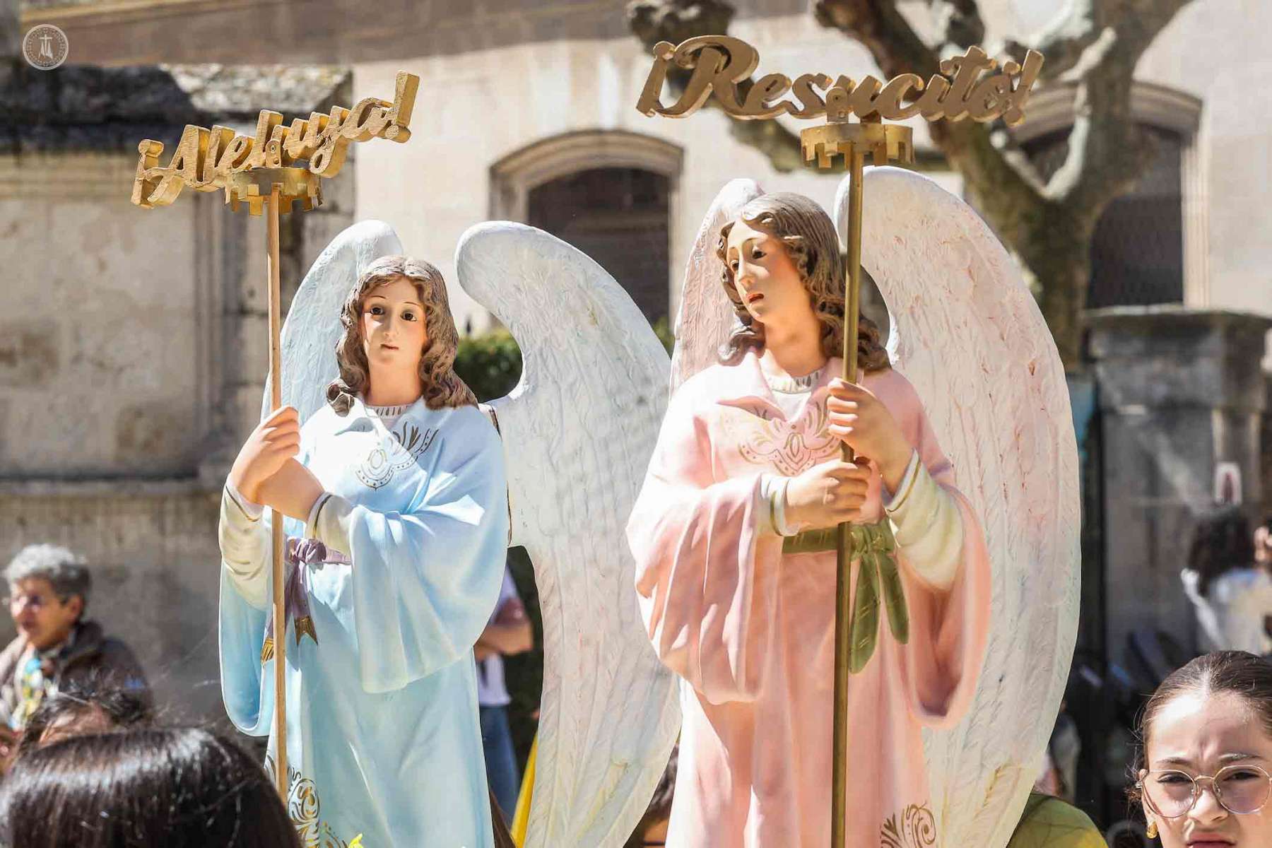 Imagen 7