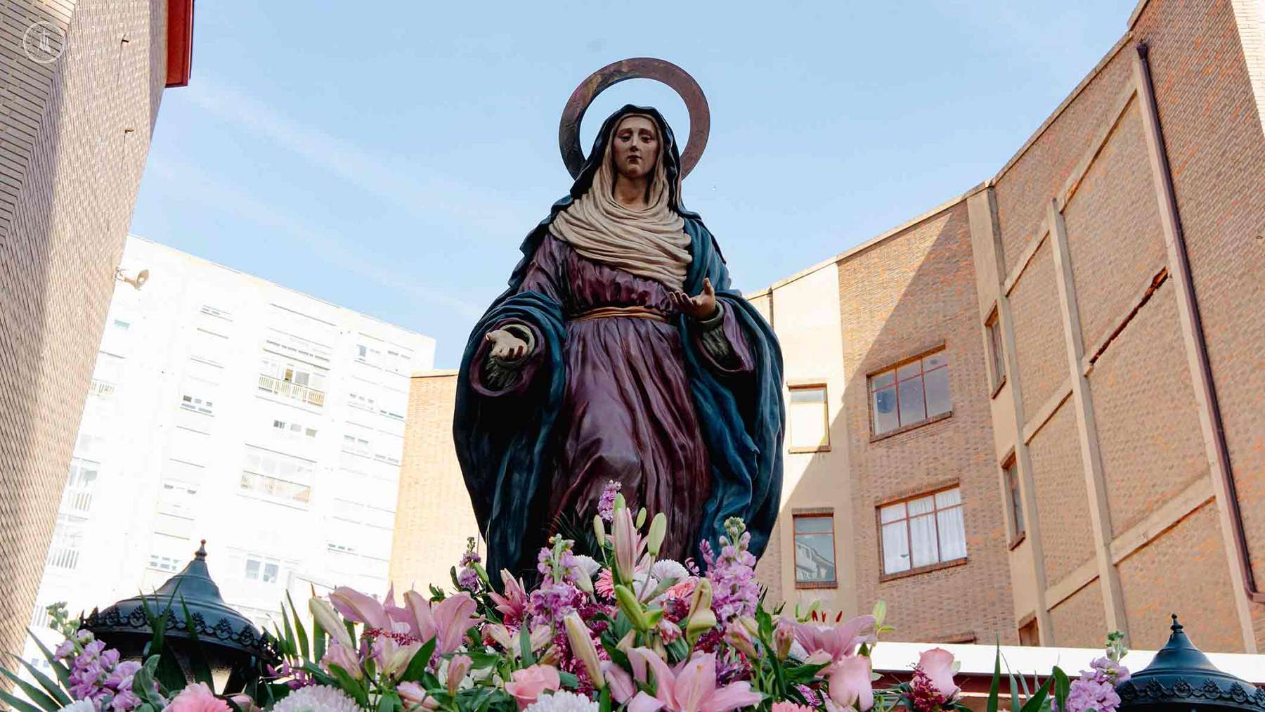 Imagen 6