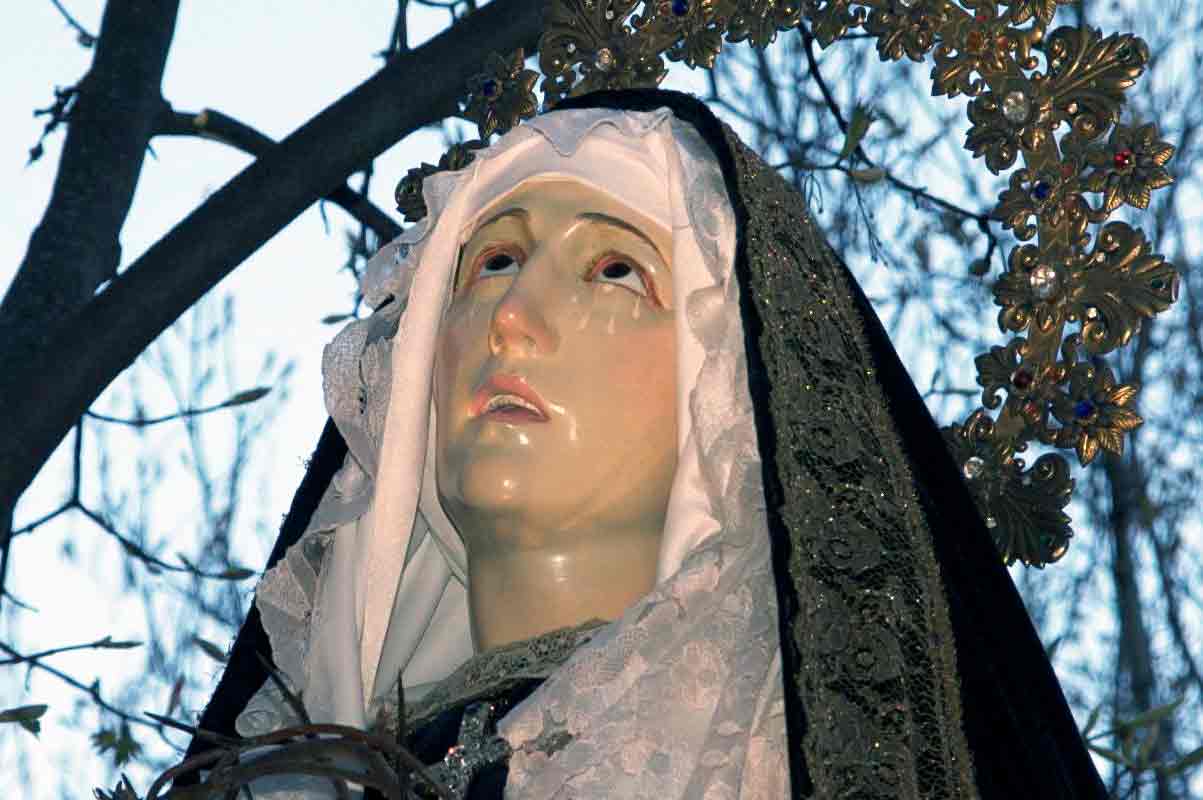 Imagen 8
